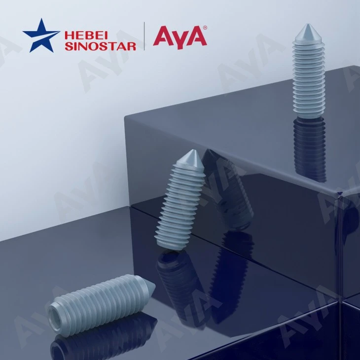 Hexagon Socket Set Screw With Cone Point-AYA